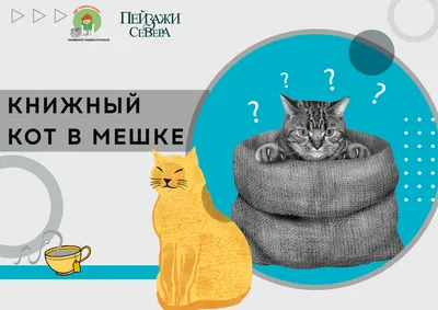 Die Katze im sack kaufen (купить кота в мешке)