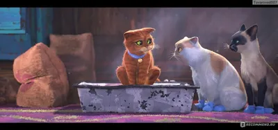 Идеи на тему «Кот в сапогах» (8) | мультфильмы, мультики диснея, кот