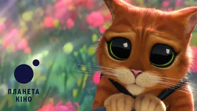 Кот в сапогах 2: Последнее желание - «🔥Кот в сапогах - это колоритные  персонажи, юмор из Шрека, красивая анимация от DreamWorks Animation, в  целом хорошее продолжение» | отзывы