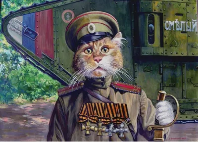 Пропал кот, ул. Военный городок, 65 | Pet911.ru