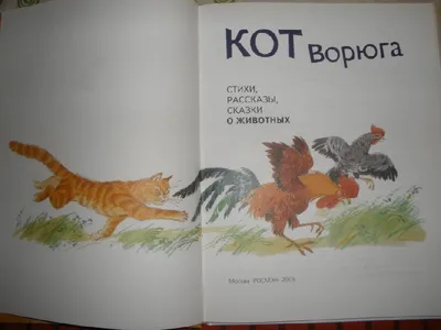 Кот-ворюга. Рассказы, , Текст купить книгу 978-5-7516-0807-1 – Лавка  Бабуин, Киев, Украина