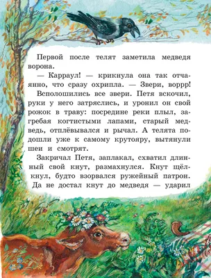 Паустовский К.: Кот-ворюга. Рассказы и сказки - купить в интернет магазине,  продажа с доставкой - Днепр, Киев, Украина - Книги для детей 3 - 6 лет