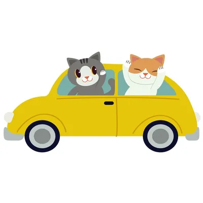 Кот за рулем - беда пешеходам! 😊🐈🚙 #коты - ААГ - Sports.ru