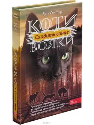 Книга «Коти-вояки. Нове пророцтво. У 6 книгах. Книга 1. Північ» – Эрин  Хантер, купить по цене 320 на YAKABOO: 978-617-7385-71-3