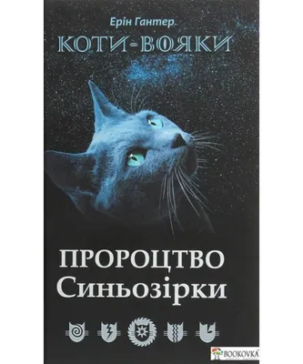 Книга Коти-Вояки. Сила трьох. Книга 6. Сходить сонце, Ерін Гантер, купить  онлайн на Bizlit.com.ua