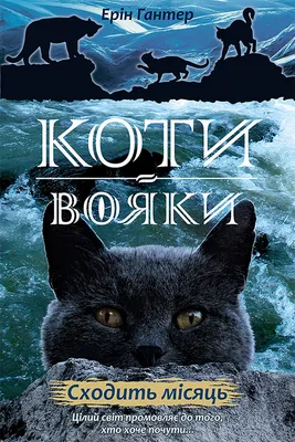 Книга Коти-вояки. Небезпечний шлях. Книга 5 . Автор Ерін Гантер.  Издательство АССА 9786177385096