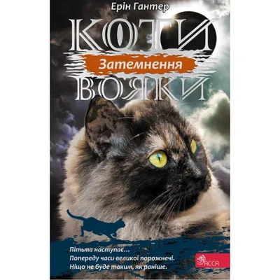 Архив Подушки Коти-Вояки: 150 грн. - Другой домашний текстиль Одесса на  BON.ua 61377213