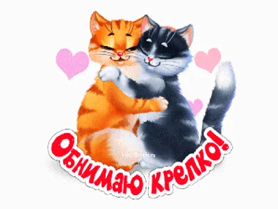 Кот и кошка обнимаются, значок на одежду.Котики.Милые котики.Эмаль  значки.Модный аксессуар. Пины на одежду. (ID#1656123322), цена: 65 ₴,  купить на Prom.ua