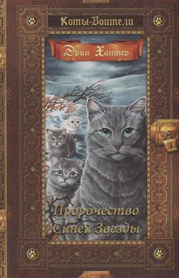 Коты-воители. Стань диким! Эрин Хантер купить книгу в Киеве, Украине с  доставкой цена