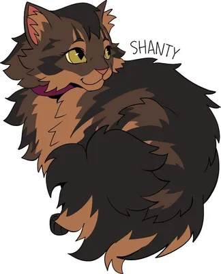 Коты воители / Шанти | Warrior cats, Warrior cat drawings, Cat drawing