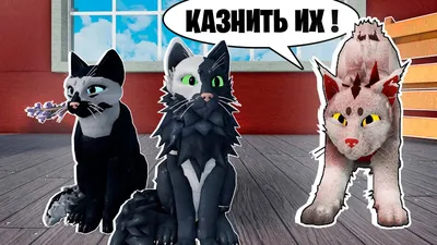 Коты-Воители. Новый персонаж. — Трикки — тесты для девочек