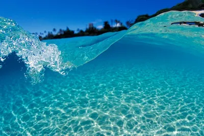 Ноги в воде Стоковые фотографии, картинки, все без лицензионных отчислений  - Envato Elements