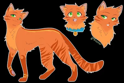 Firestar / Огнезвёзд | Кошки воины, Кот-воитель, Рисунки мелом