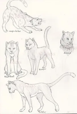 Коты воители по клеточкам рисунки (48 фото) » рисунки для срисовки на  Газ-квас.ком