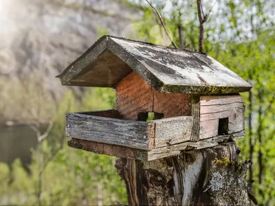 Красивые кормушки своими руками | Строительный портал