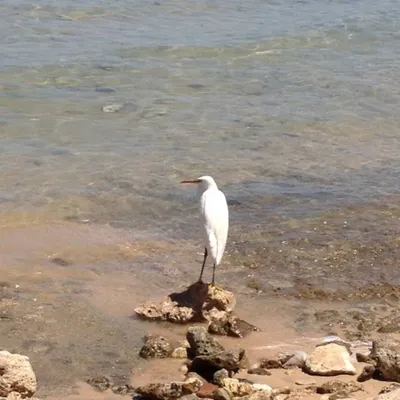 Красота воды в природе фото фотографии