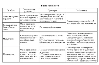 Тип круглые черви