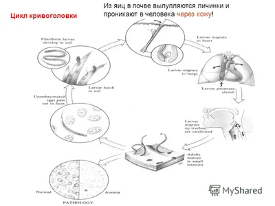 поиск