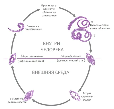 Материалы к итоговому занятию