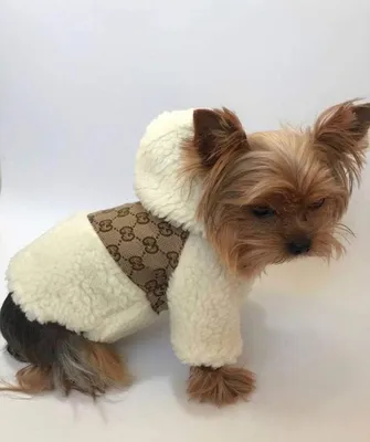 Куртки для собак: стильные образы на каждый день