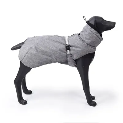 Куртки для собак: фото с принтом на любой вкус