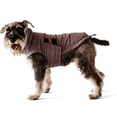 Куртки для собак: фото со скидками и акциями