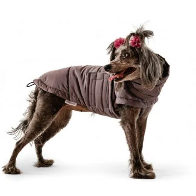 Фотографии курток для собак: выберите идеальный образ для вашего питомца