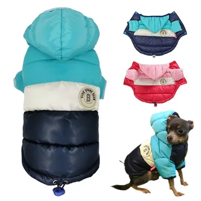 Практичные куртки для собак: скачайте бесплатно фото