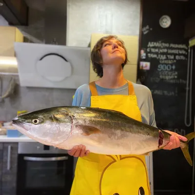 ЛАКЕДРА, (желтохвост) горячего копчения, Японская сериола это очень вкусная  рыба - YouTube