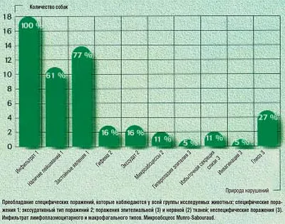 Фото лейшманиоза у собак: охраните своего питомца