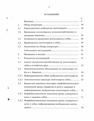 Лептоспироз у собак: фотографии для научных исследований и документации