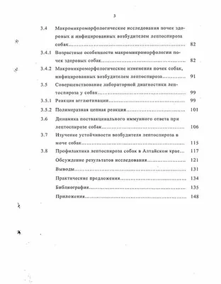 Лептоспироз у собак: фотографии для ветеринарных конференций и семинаров