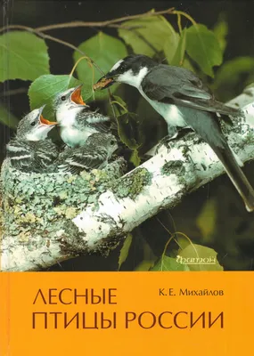 Книга \"Лесные птицы России\" Михайлов К Е - купить книгу в интернет-магазине  «Москва» ISBN: 978-5-906811-47-9, 922981