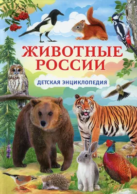 Топ-5 самых милых птиц Москвы и Подмосковья | Блог Плюса | Дзен