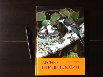 Лесные птицы России - Михайлов Константин Евгеньевич - Издательство  Альфа-книга