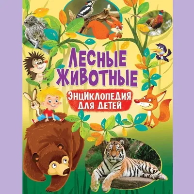 Очаровательные лесные животные России | Развивающая детская книга /Лесные  животные. Энциклопедия для детей. Книги для малышей – купить по низким  ценам в интернет-магазине Joom