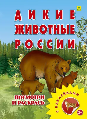 Очаровательные лесные животные России | Развивающая детская книга /Лесные  животные. Энциклопедия для детей. Книги для малышей – купить по низким  ценам в интернет-магазине Joom