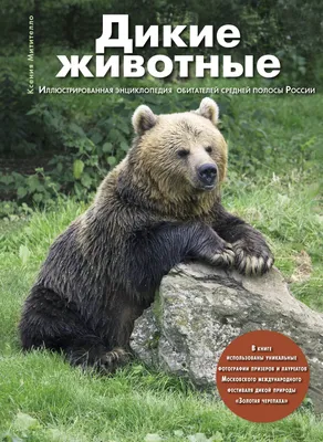 Красная книга России : животные, растения, птицы, насекомые (Лукашанец, Д.  А.)