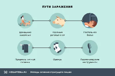 Лишай: причины, виды, симптомы, диагностика и лечение всех видов лишая у  человека в Москве - сеть клиник «Ниармедик»