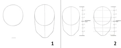 Портрет. Техника изображения головы человека | Блог школы Bratec Lis School