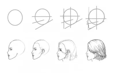 Как нарисовать лицо карандашом: поэтапная инструкция для начинающих (140  фото). Основные пропорции лиц человека, взрослых, детей, пожилых