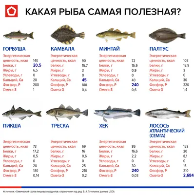 Окунёвый лосось. Как рыба в России из красной стала золотой | ForPost