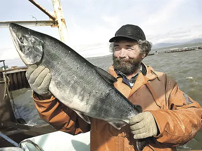 Тест: знаете ли вы, какие рыбы водятся в водоемах Якутии? — ЯСИА