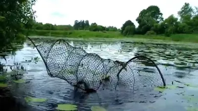 Как ловить на мордушку рыбу видео - Рыболовная база Завидово