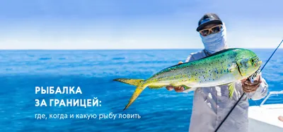 К чему снится ловить рыбу — сонник: ловить рыбу во сне | 7Дней.ру