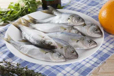 Рыбы Чёрного моря (добыча, приготовление) 6-я часть | Кузмич | Дзен