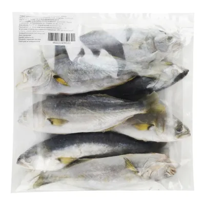 Рыба луфарь: особенности рыбы, места обитания в черном море, повадки, как  поймать, польза, калорийность, рецепты (100 фото)