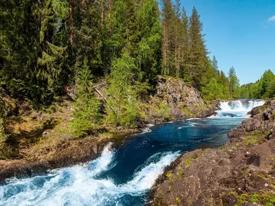 Марциальные воды фото