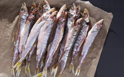 Мойва Extra Fish холодного копчения неразделанная - купить с доставкой в  Самаре в Перекрёстке