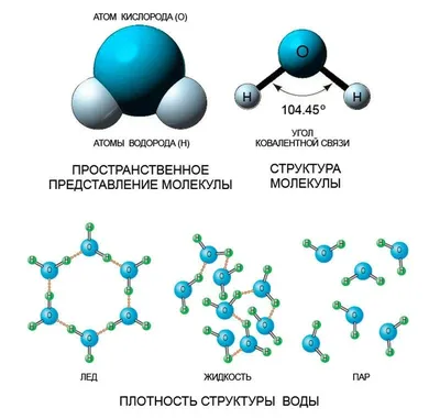 Молекула воды Химия Обман двуокиси водорода Атом, вода, логотип, сфера,  химия png | PNGWing